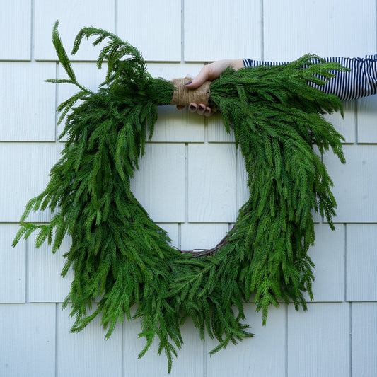 24" Norfolk Pine Wreath Greenery