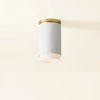 Asa Flush Mount Flush Mount