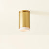 Asa Flush Mount Flush Mount