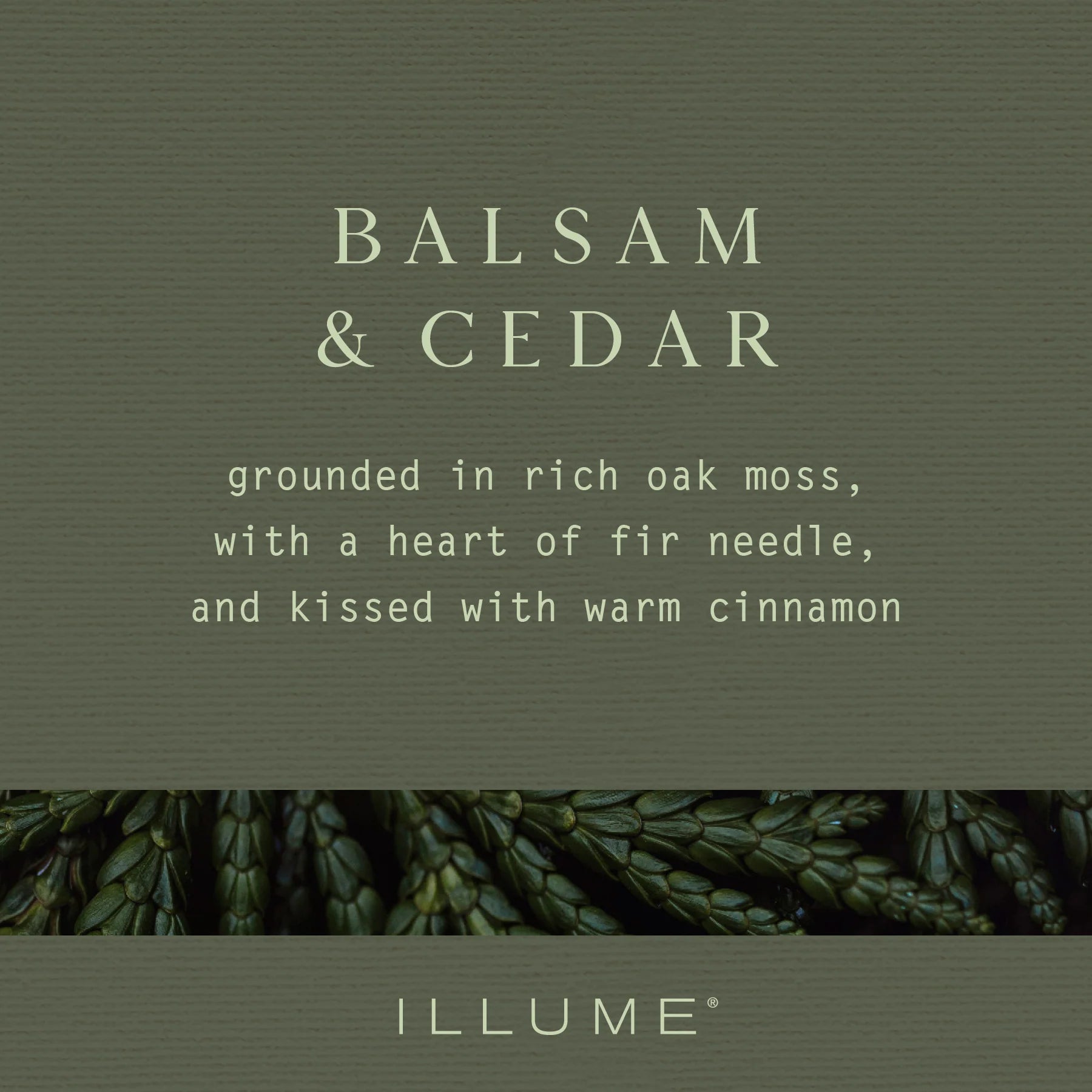 Balsam & Cedar Candle - 40oz Candles & Home Fragrance