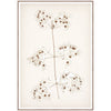 Botanical In Umber I Framed Art