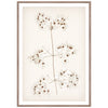 Botanical In Umber I Framed Art