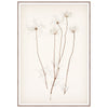 Botanical In Umber III Framed Art