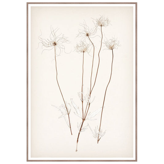 Botanical In Umber III Framed Art