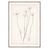 Botanical In Umber III Framed Art