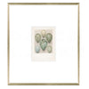 British Bird Eggs I C. 1924 Framed Art