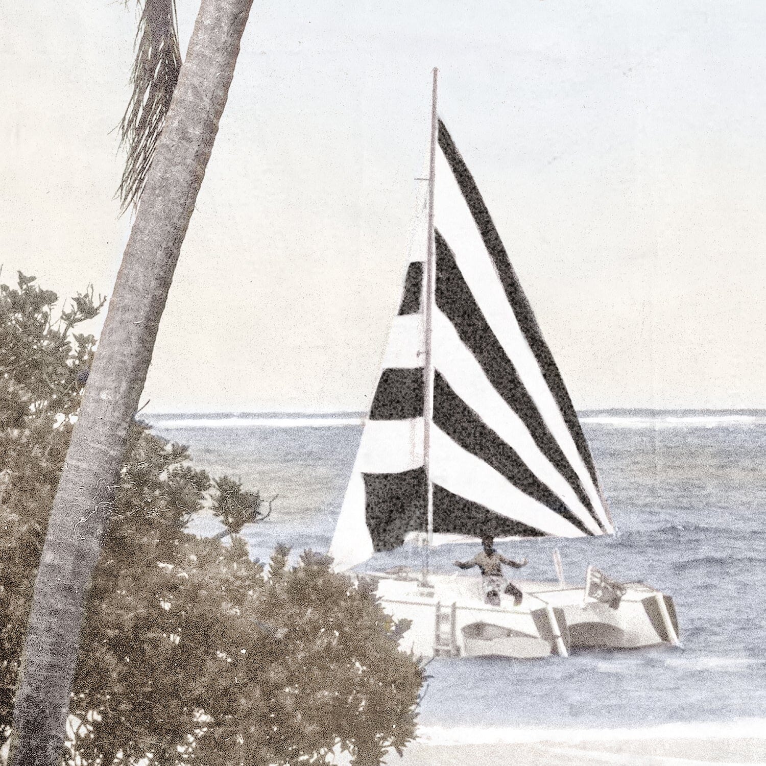 Catamaran - Small Framed Art