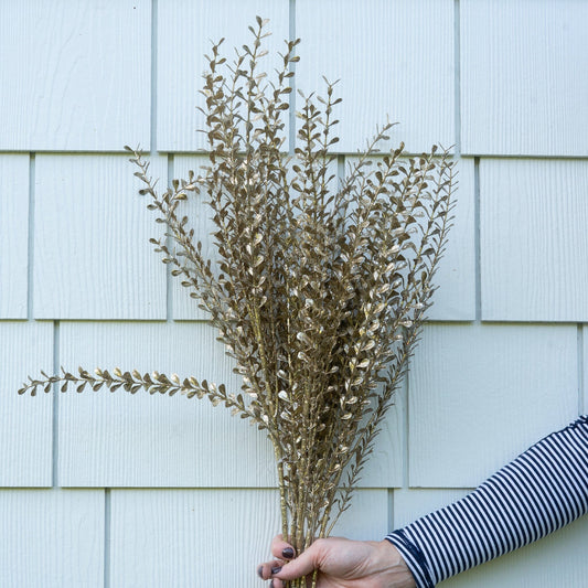 Champagne Stem with Teardrop Leaves - 31" Greenery