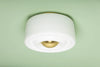 Ciela Flush Mount Flush Mount