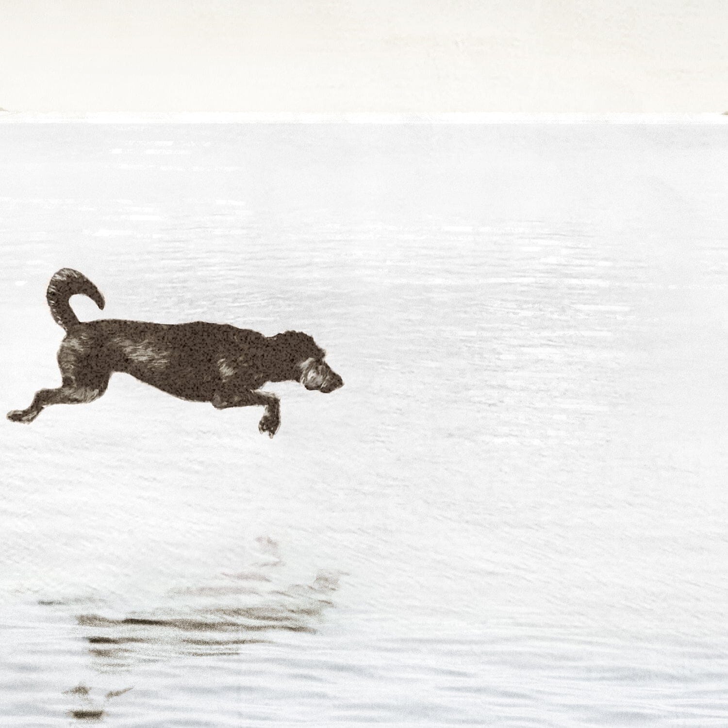 Dogs Day at the Cottage - Large Framed Art