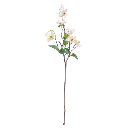 Dogwood Branch