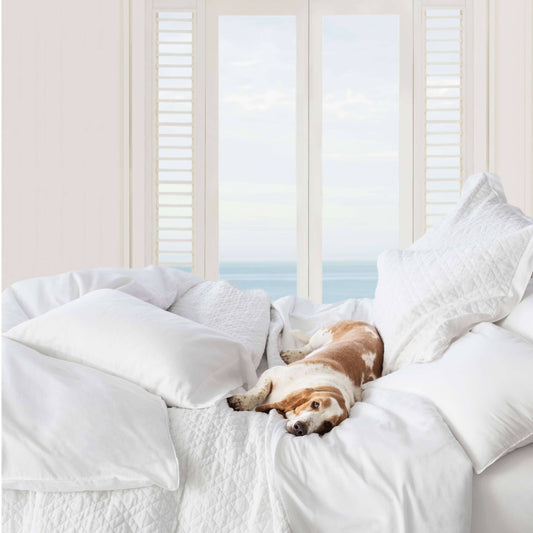 Essential Sateen White Duvet Cover Duvet Covers