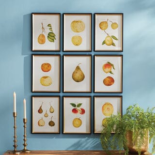 Fruit Study