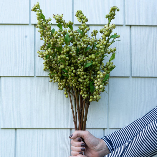 Green Berry Stem Greenery