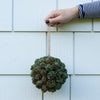 Green & Brown Mini Pinecone Ball- 5.25" Objects & Accents
