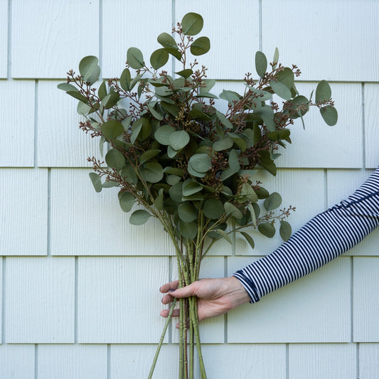 Green Budding Eucalyptus Stem 33" Greenery