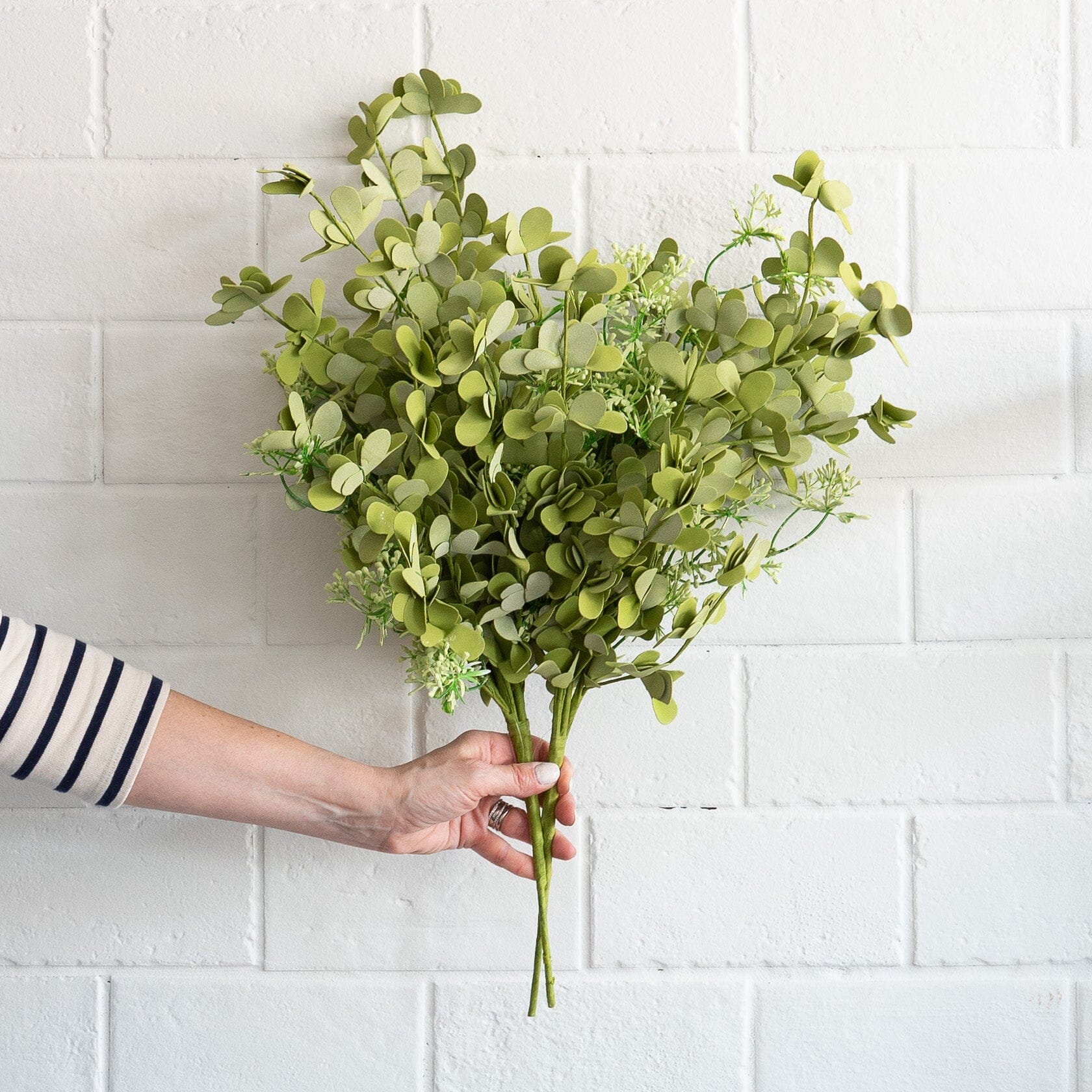 Green Eva and Eucalyptus Bush Greenery