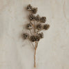 Hanging Pinecone Bunch- 16" Objects & Accents