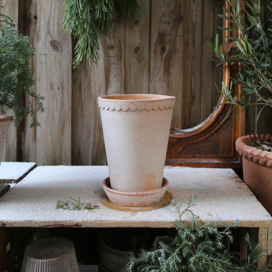 Helena Pot Tall - Rosa Vases & Planters