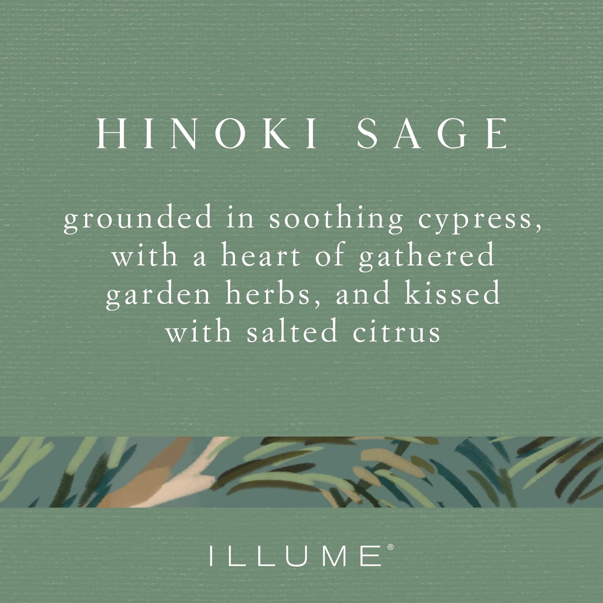 Hinoki Sage Candle - 13oz Candles & Home Fragrance