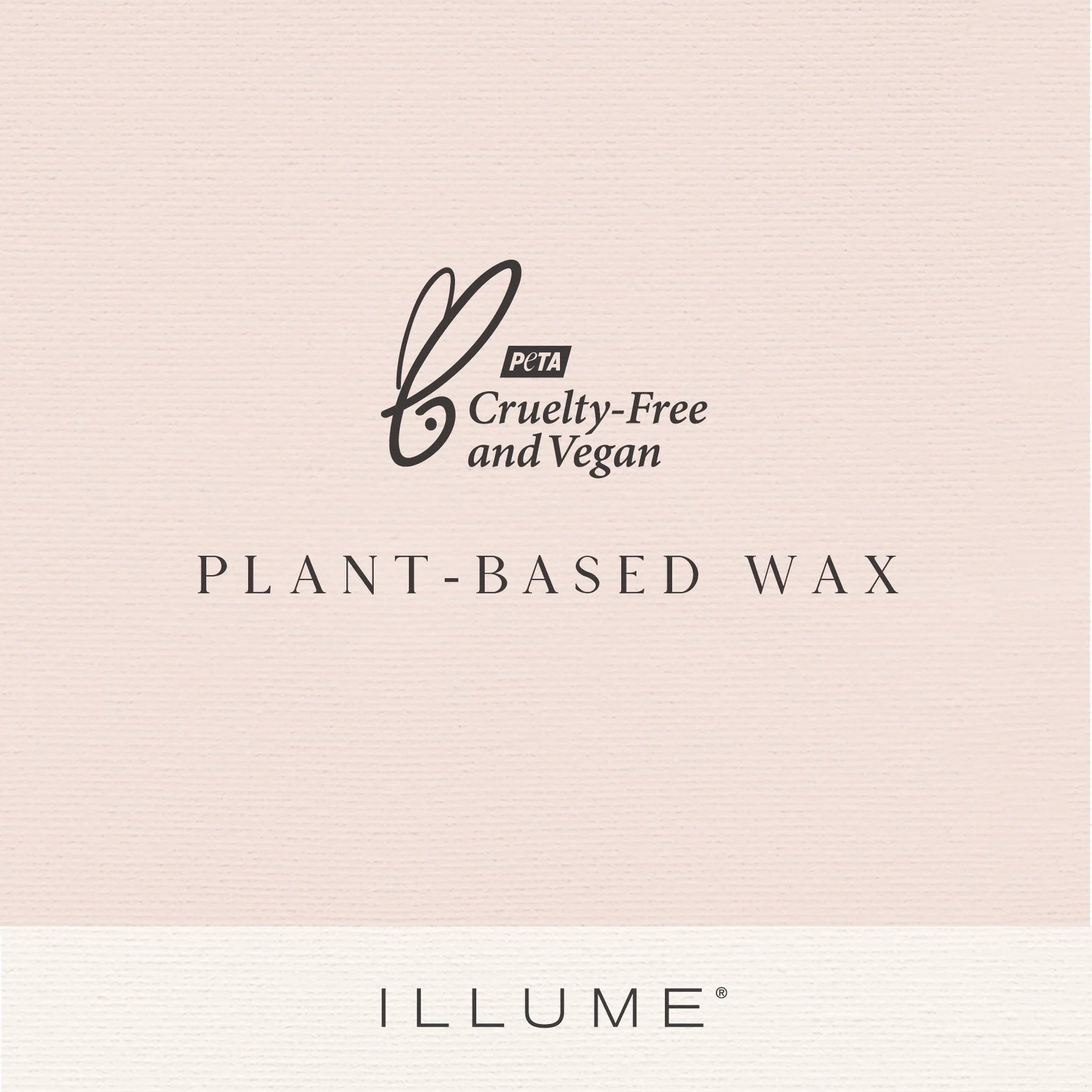 Hinoki Sage Candle - 13oz Candles & Home Fragrance