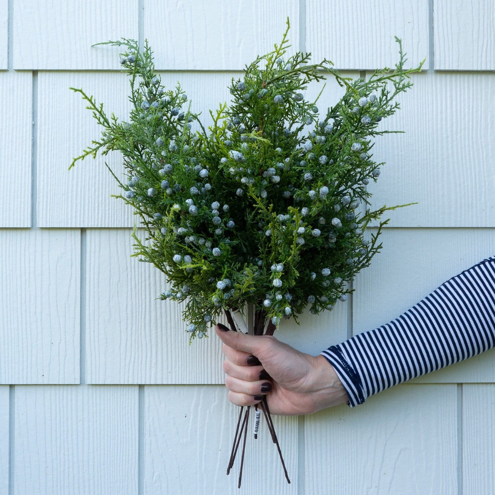 Juniper Berry Spray - 18" Greenery