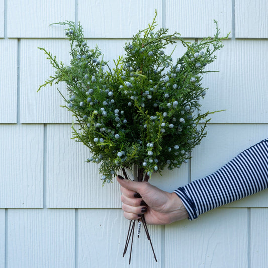 Juniper Berry Spray - 18" Greenery