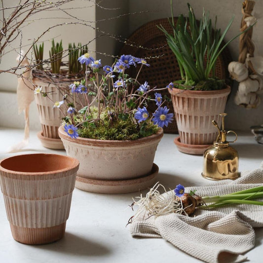 Kobenhavner Low - Rosa Vases & Planters