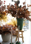 Mustard & Orange Silver Dollar Eucalyptus 38" Greenery