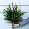 Myrtle Branch with Red Berries Greenery
