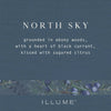 North Sky Candle - 16oz Candles & Home Fragrance