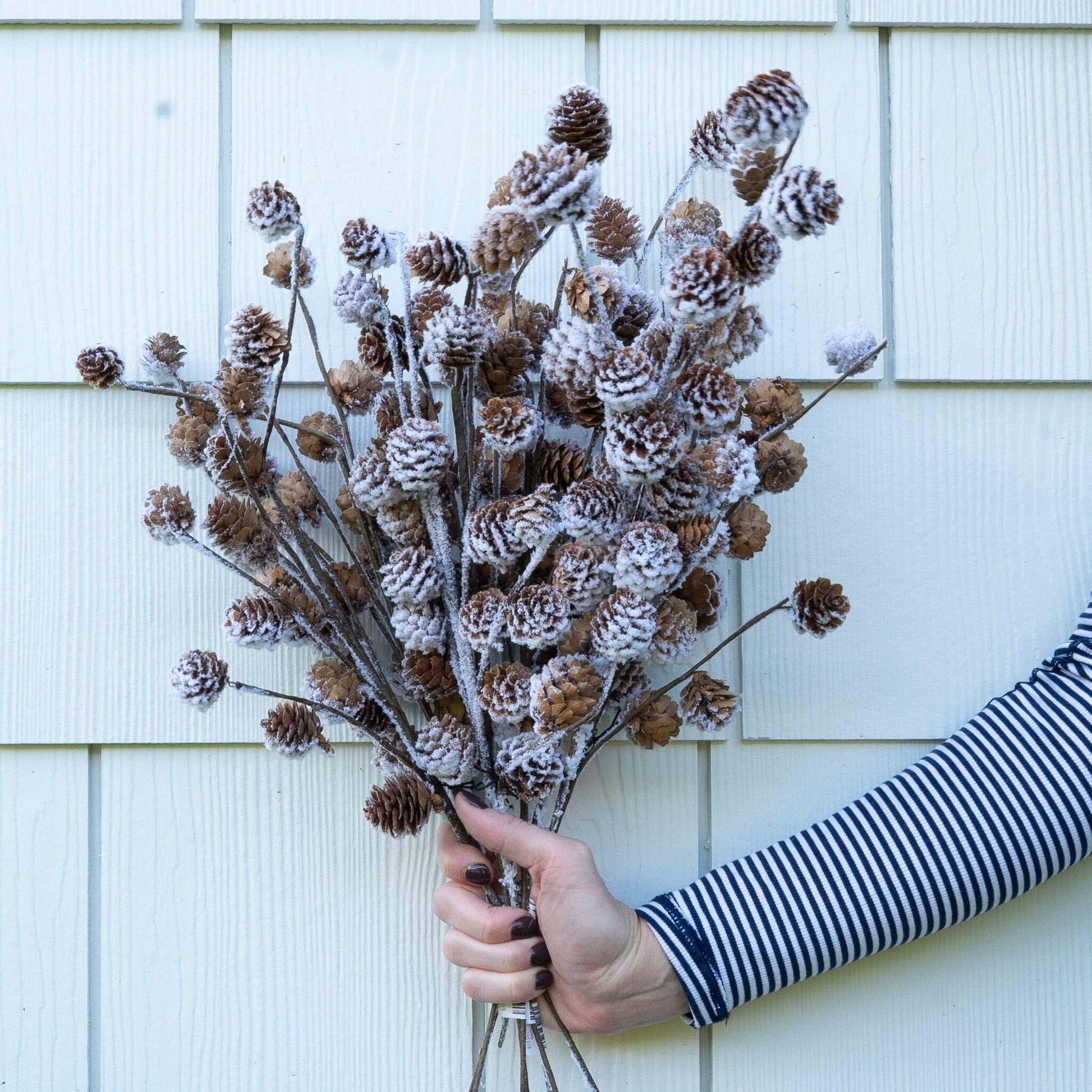 Pinecone Stem - 18" Objects & Accents