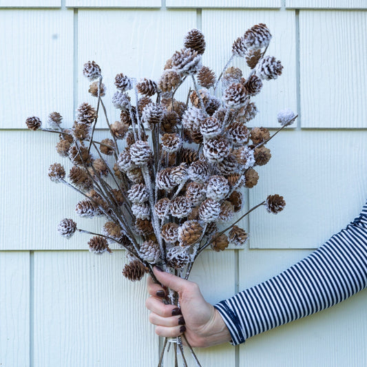 Pinecone Stem - 18" Objects & Accents
