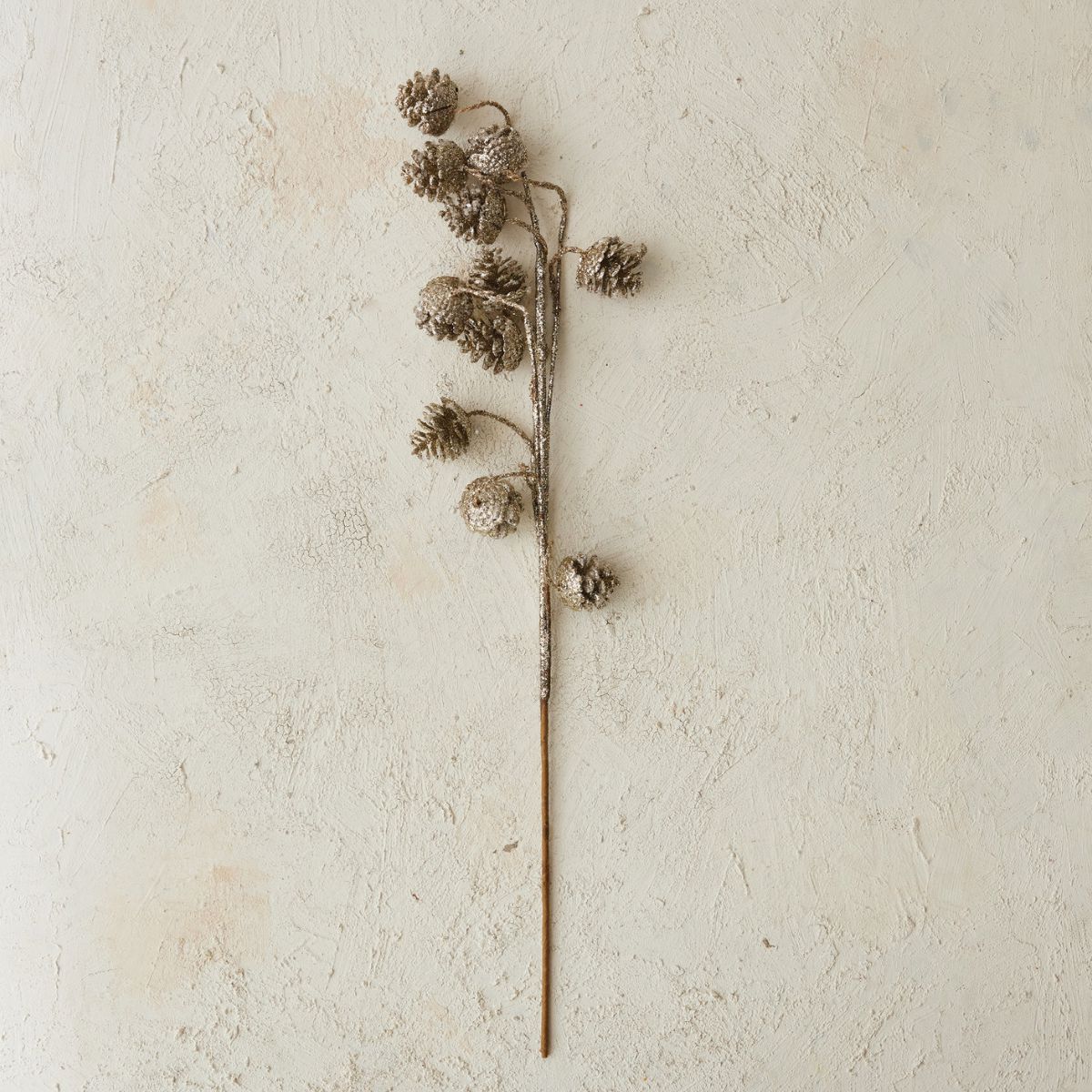 Pinecone Stem- 29" Objects & Accents
