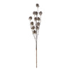 Pinecone Stem- 29" Objects & Accents