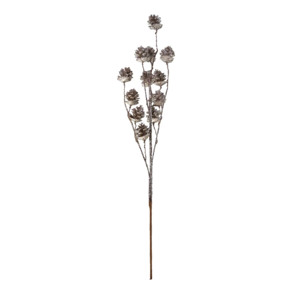 Pinecone Stem- 29" Objects & Accents