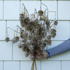 Pinecone Stem- 29" Objects & Accents