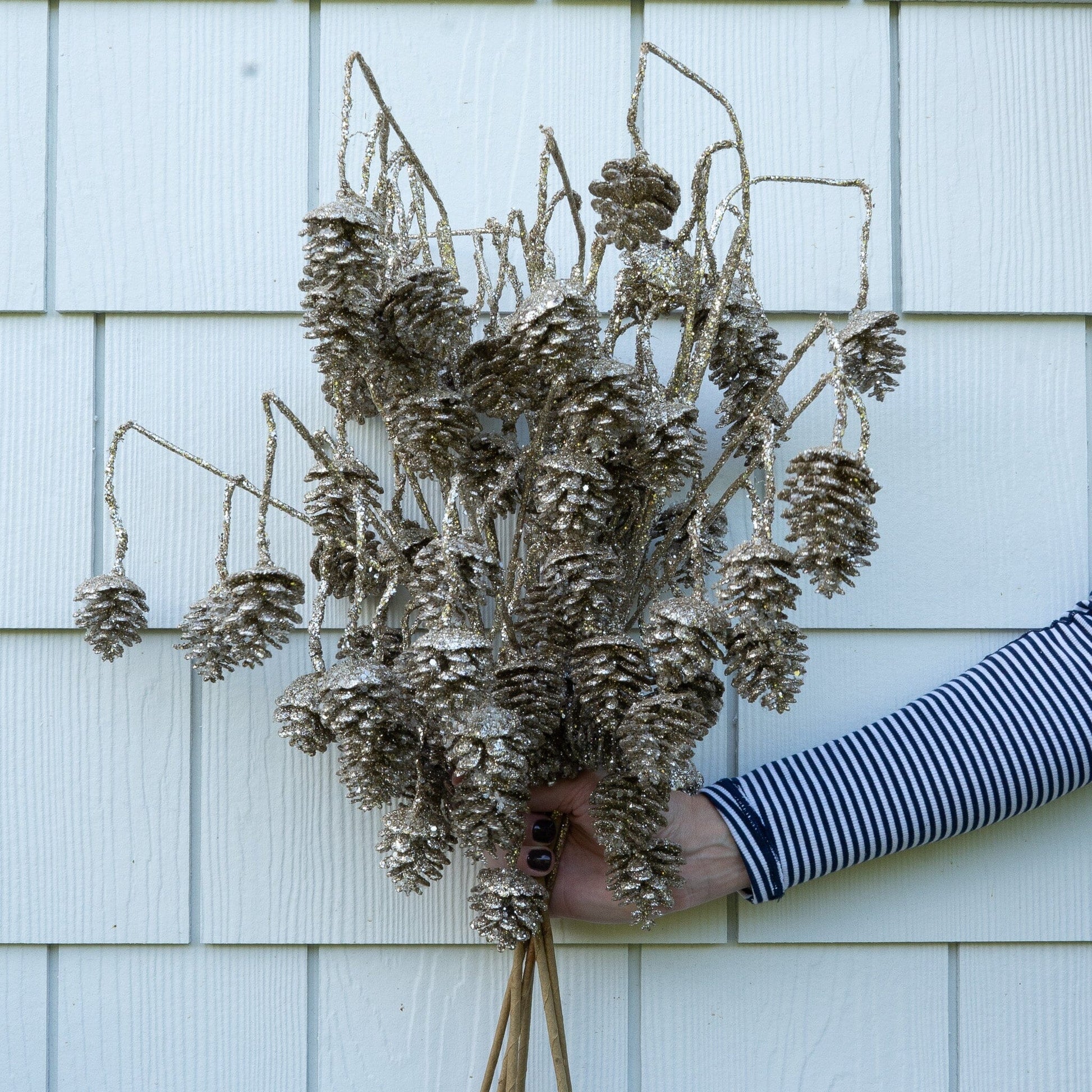 Pinecone Stem- 29" Objects & Accents