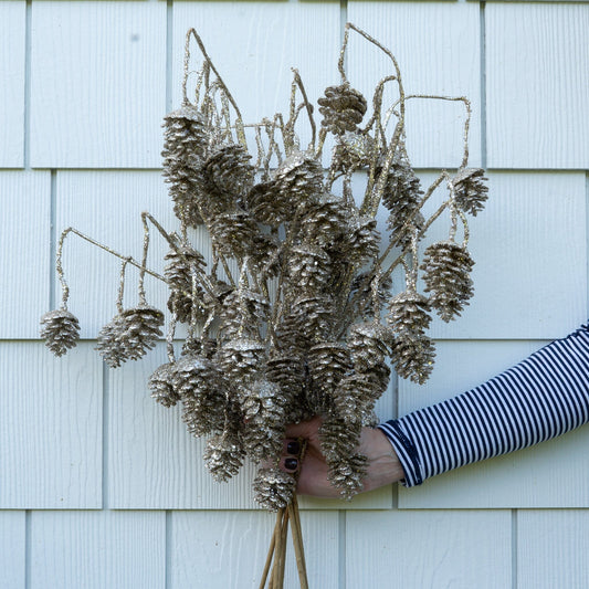 Pinecone Stem- 29" Objects & Accents