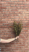 Brown Bead Bud Spray 25"