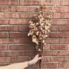 Beige Eucalyptus Stem 34"