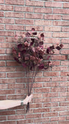 Burgundy & Rust Silver Dollar Eucalyptus 38"
