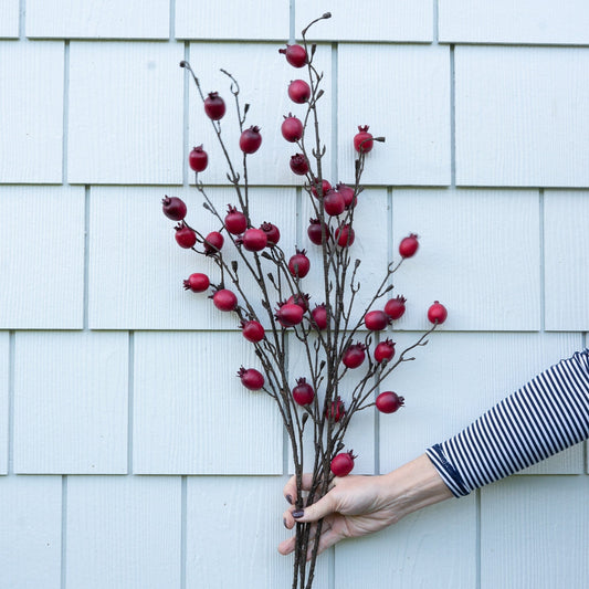 Red Rosehip Stem - 41" Greenery