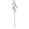 Red Rosehip Stem- 41" Greenery
