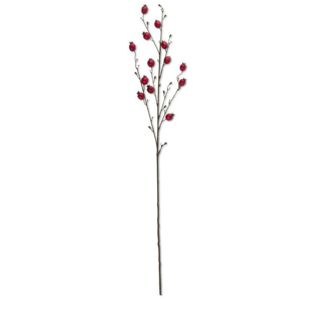 Red Rosehip Stem- 41" Greenery