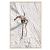 Ski - Aspen Colorado C. 1957 Framed Art