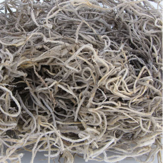 Spanish Moss- Natural Greenery