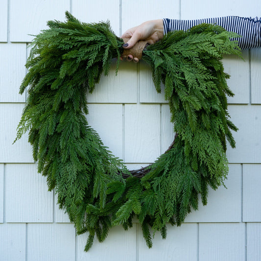Spruce and Cedar Wreath - 24" Greenery