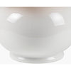 Stella Diminuta Accent Table Lamp Table Lamps