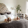 Vienna Velvet Shale Quilt Comforters, Quilts & Coverlets